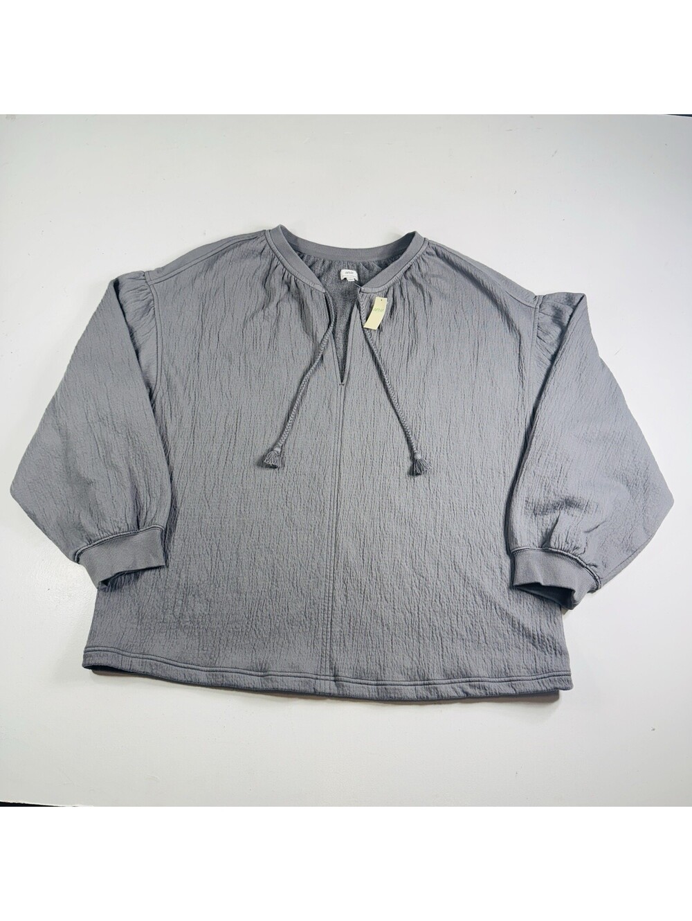 Aerie Oversized Sweatshirt Gray V Neck Drawstring Womens Size Large Brand New